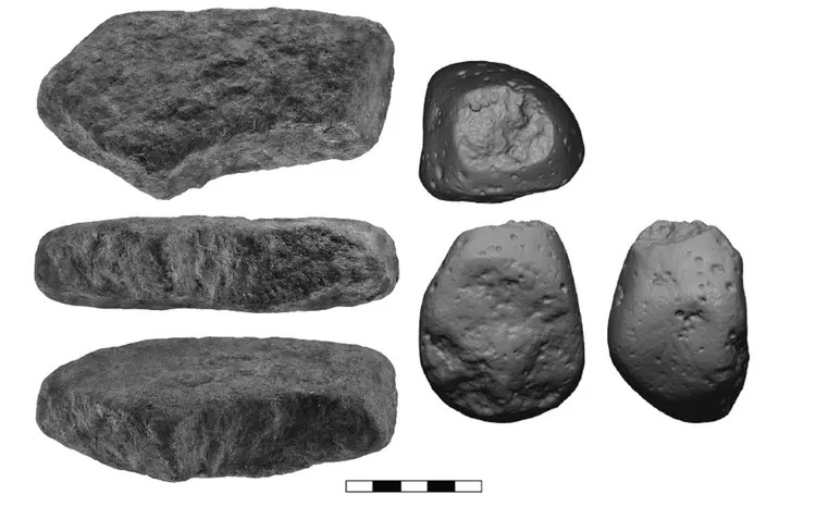 Uma bigorna de pedra (à esquerda) e uma pedra de martelo (à direita) usadas para o processamento de plantas.