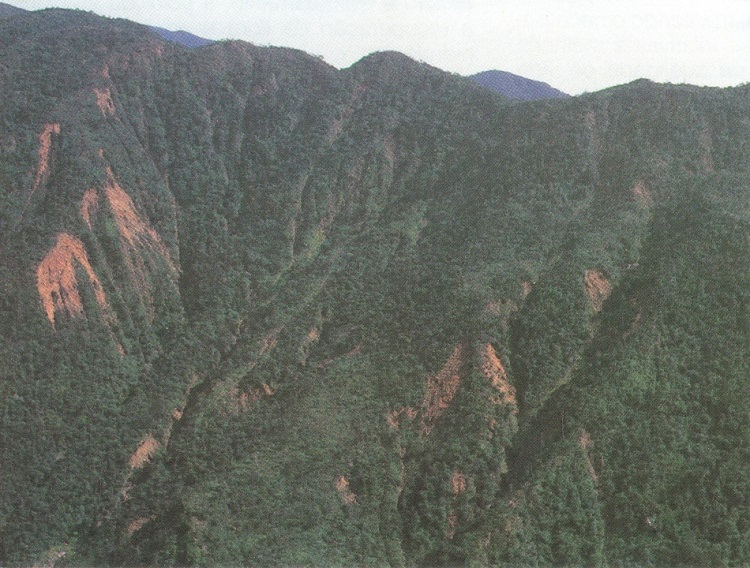 Serra do Mar afetada pela poluição em Cubatão