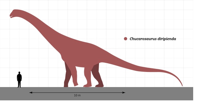 Chucarosaurus diripienda