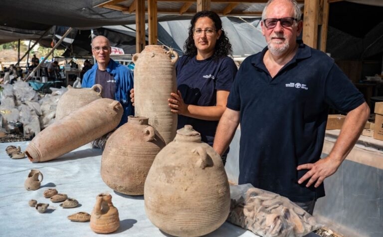 Pesquisadores apresentam jarras de vinho