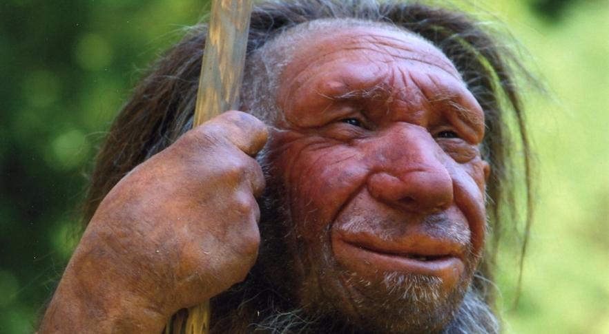 Homem de Neandertal
