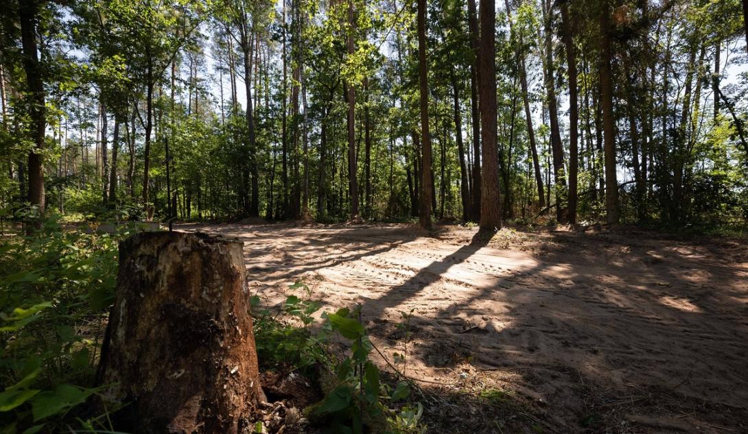 Vala com 17 toneladas de cinzas humanas é encontrada perto de campo de concentração nazista-0