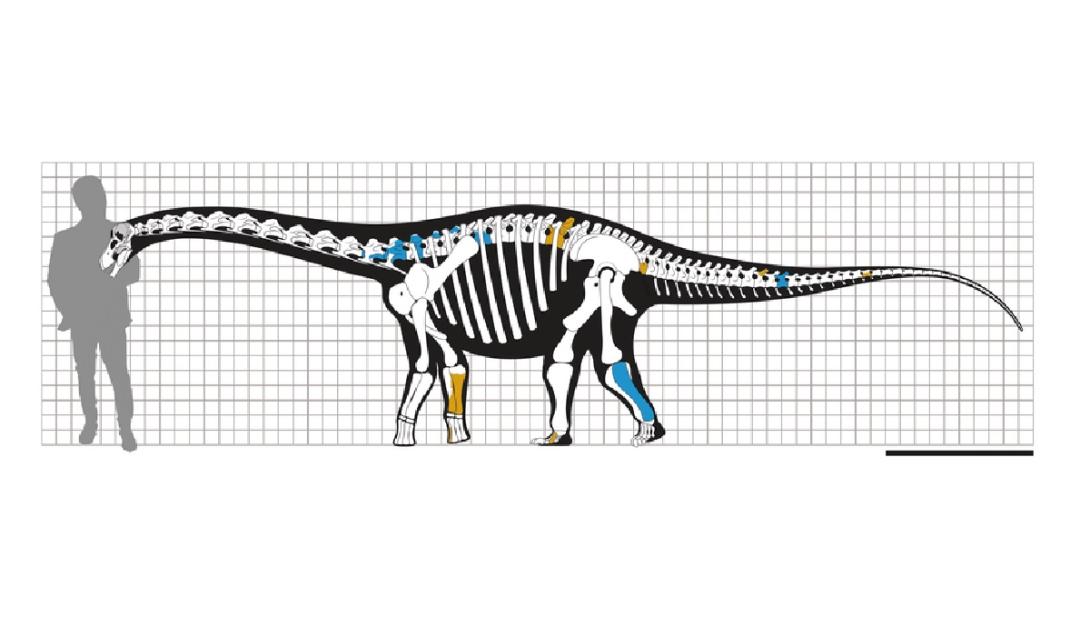 Pesquisadores descobrem nova espécie de dinossauro anão no interior de São Paulo-0