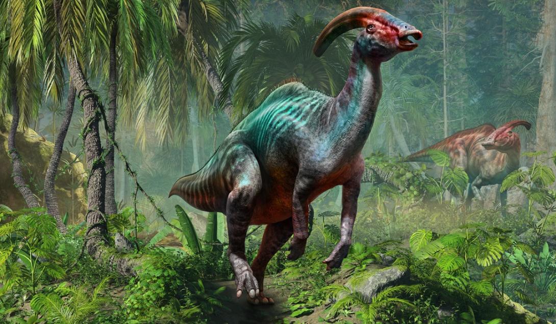 Rara "múmia de dinossauro" é encontrada no Canadá-0