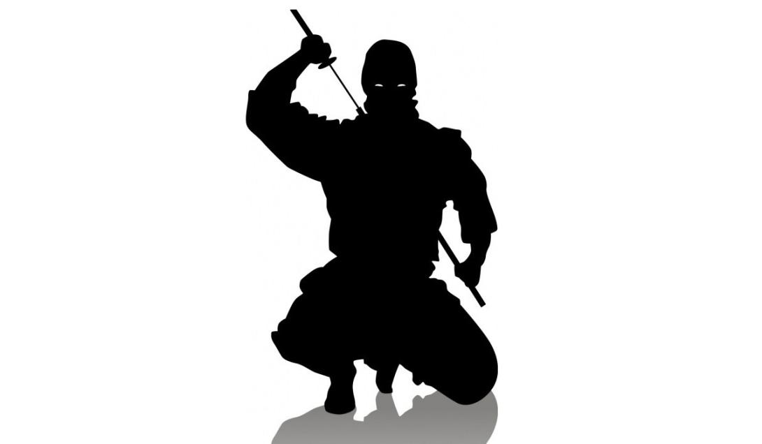 5 fatos surpreendentes sobre os ninjas-0
