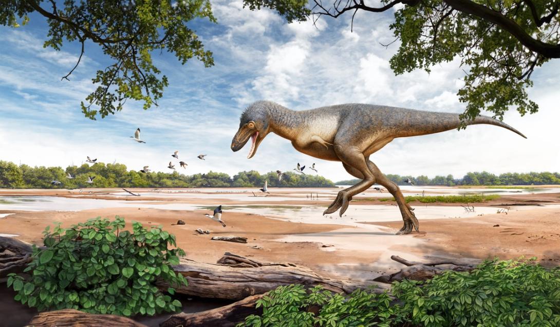 Crianças encontram fóssil de T.rex durante caminhada nos Estados Unidos-0