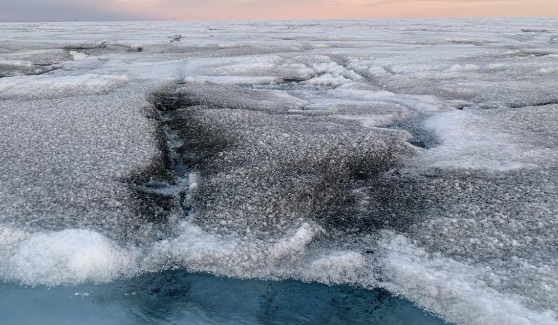Vírus gigantes são encontrados na camada de gelo da Groenlândia-0