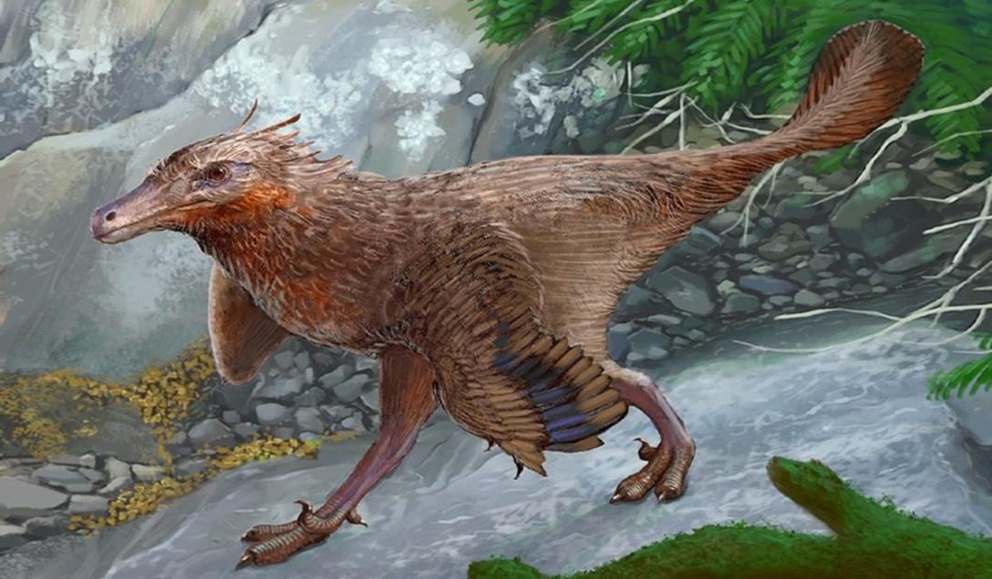 Fósseis de um dinossauro ancestral das aves são descobertos na Argentina-0