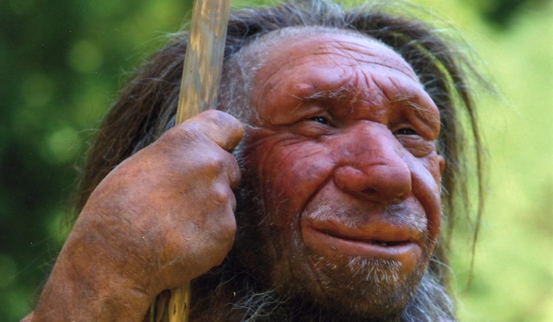 Novo estudo sugere que os neandertais não foram extintos-0