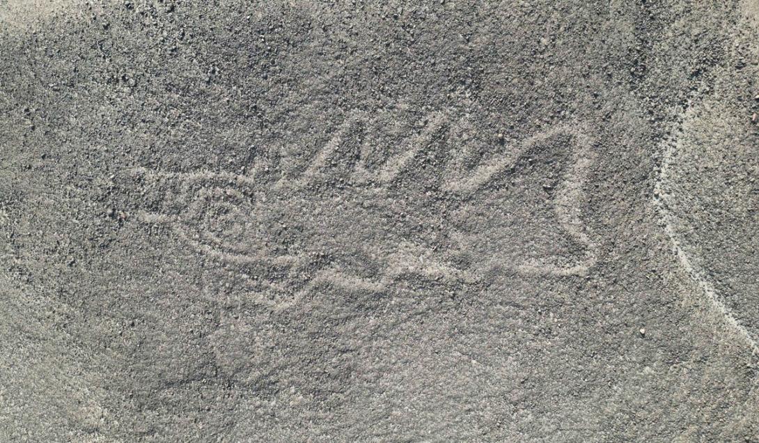 Linhas de Nazca: Inteligência Artificial revela novas figuras misteriosas no Peru-0