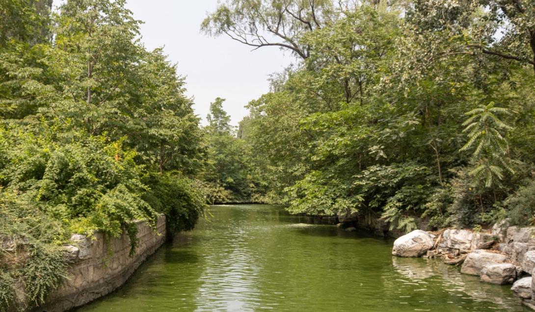 Canais de pesca milenares anteriores aos maias são descobertos em Belize-0