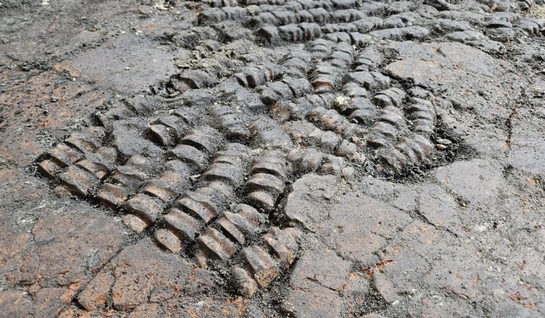 Arqueólogos descobrem misterioso "piso de ossos" na Holanda-0