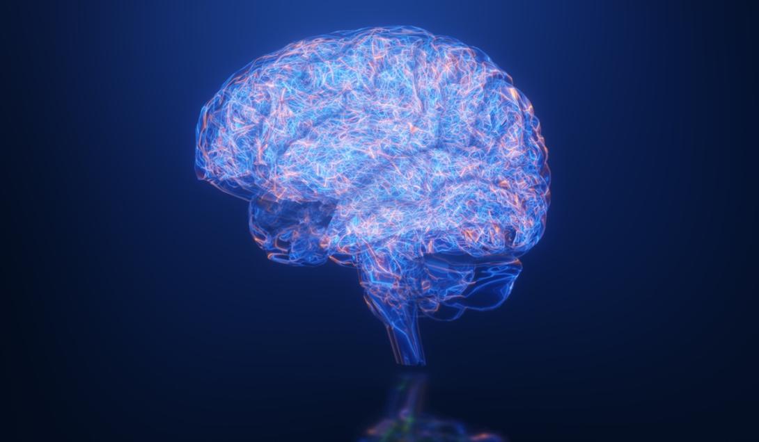 Cérebros humanos podem encolher devido à Inteligência Artificial, aponta estudo-0